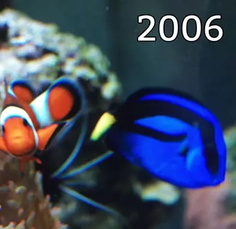 The BLUETANG in 2006